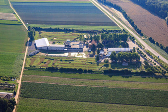 Parc de football et de golf du Palatinat du Sud à Adamshof Kandel à Kandel dans le département Rhénanie-Palatinat, Allemagne depuis l'avion