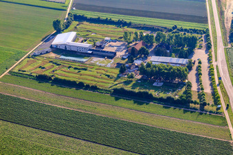 Vue d'oiseau de Parc de football et de golf du Palatinat du Sud à Adamshof Kandel à Kandel dans le département Rhénanie-Palatinat, Allemagne