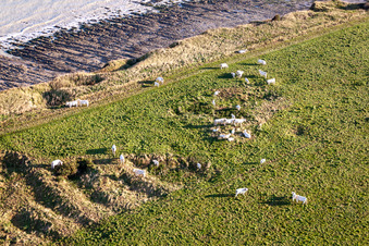 Vue aérienne de Prévente de Veau à Saint-Quentin-la-Motte-Croix-au-Bailly dans le département Somme, France