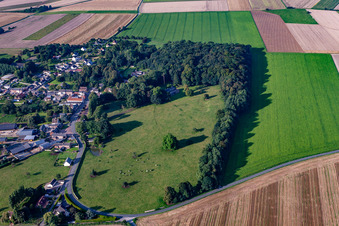 Photographie aérienne de Friville-Escarbotin dans le département Somme, France