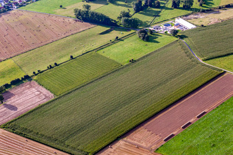 Vue aérienne de Station d'épuration à Friville-Escarbotin dans le département Somme, France