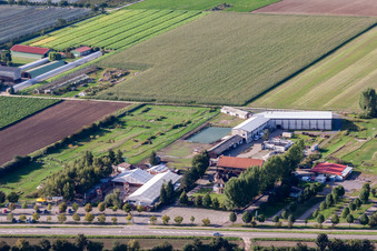 Vue aérienne de Parcours de footgolf Adamshof à Kandel dans le département Rhénanie-Palatinat, Allemagne