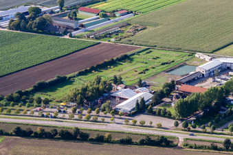 Photographie aérienne de Parcours de footgolf Adamshof à Kandel dans le département Rhénanie-Palatinat, Allemagne