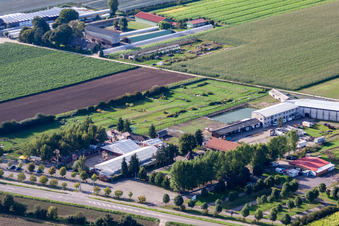 Vue oblique de Parcours de footgolf Adamshof à Kandel dans le département Rhénanie-Palatinat, Allemagne