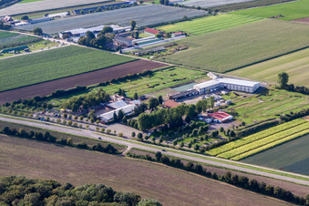 Parcours de footgolf Adamshof à Kandel dans le département Rhénanie-Palatinat, Allemagne d'en haut