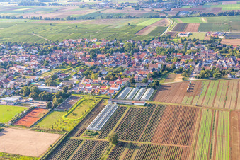 Weingarten dans le département Rhénanie-Palatinat, Allemagne depuis l'avion