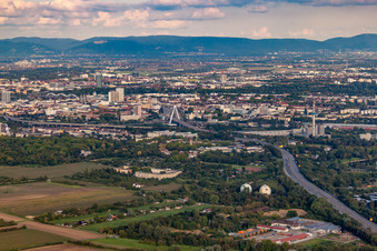 Vue aérienne de Route surélevée à le quartier Süd in Ludwigshafen am Rhein dans le département Rhénanie-Palatinat, Allemagne