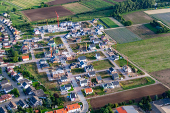 Vue aérienne de Nouvelle zone de développement Betheny-Allee à le quartier Schauernheim in Dannstadt-Schauernheim dans le département Rhénanie-Palatinat, Allemagne