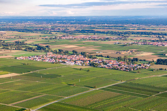 Quartier Duttweiler in Neustadt an der Weinstraße dans le département Rhénanie-Palatinat, Allemagne depuis l'avion