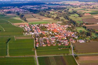 Vue d'oiseau de Quartier Duttweiler in Neustadt an der Weinstraße dans le département Rhénanie-Palatinat, Allemagne