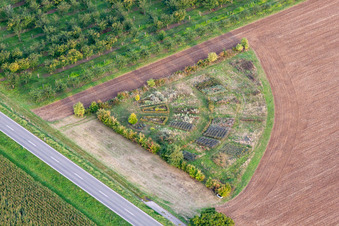 Vue aérienne de Structures sur des champs agricoles avec un banc d'essai en bordure de champ dans le district d'Eckel à Kleinfischlingen dans le département Rhénanie-Palatinat, Allemagne
