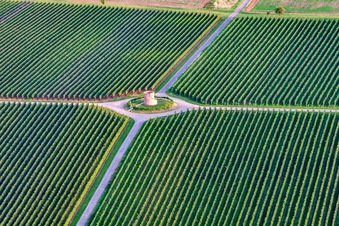 Vue aérienne de La tour du vigneron Houschder à le quartier Niederhochstadt in Hochstadt dans le département Rhénanie-Palatinat, Allemagne