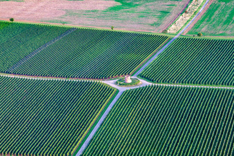 Photographie aérienne de La tour du vigneron Houschder à le quartier Niederhochstadt in Hochstadt dans le département Rhénanie-Palatinat, Allemagne