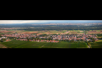 Vue aérienne de Perspective panoramique (Palatinat) à le quartier Niederhochstadt in Hochstadt dans le département Rhénanie-Palatinat, Allemagne