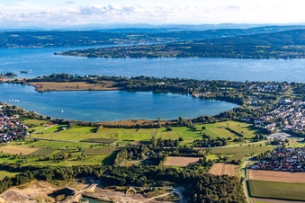 Vue aérienne de Presqu'île de Mettnau à Radolfzell am Bodensee dans le département Bade-Wurtemberg, Allemagne