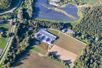 Vue aérienne de Trab eV à le quartier Wollmatingen in Konstanz dans le département Bade-Wurtemberg, Allemagne