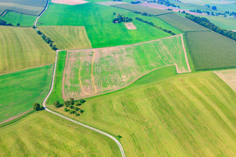 Vue aérienne de Champs et prairies fauchées à le quartier Unterfischach in Obersontheim dans le département Bade-Wurtemberg, Allemagne
