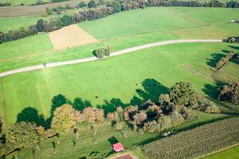 Vue aérienne de Aérodrome UL Mittelfischach à Bühlertann dans le département Bade-Wurtemberg, Allemagne