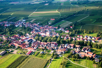 Photographie aérienne de Champs agricoles et terres agricoles à Dierbach dans le département Rhénanie-Palatinat, Allemagne