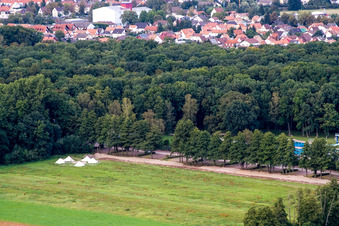 Vue aérienne de Tyrolienne géante, camp Fun-Forest à Kandel dans le département Rhénanie-Palatinat, Allemagne