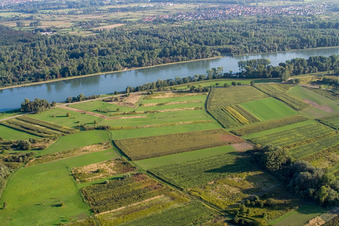 Vue aérienne de Aérodrome modèle du Model Flight Club 1979 Neuburg à Neuburg am Rhein dans le département Rhénanie-Palatinat, Allemagne