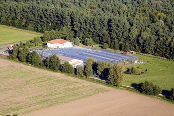 Terre de cactus Steinfeld à Steinfeld dans le département Rhénanie-Palatinat, Allemagne depuis l'avion