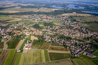 Vue aérienne de Champs agricoles et terres agricoles à Sessenheim dans le département Bas Rhin, France