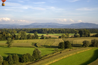 Vue aérienne de Lancement de ballons à Legelshurst à le quartier Legelshurst in Willstätt dans le département Bade-Wurtemberg, Allemagne