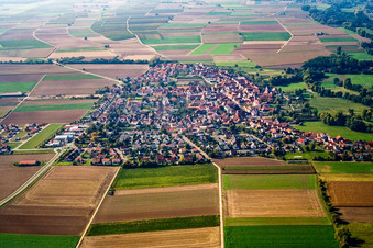 Vue aérienne de Vue de la ville depuis l'est à Steinweiler dans le département Rhénanie-Palatinat, Allemagne