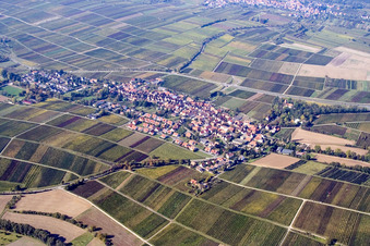 Vue aérienne de Vue sur le village à le quartier Wollmesheim in Landau in der Pfalz dans le département Rhénanie-Palatinat, Allemagne