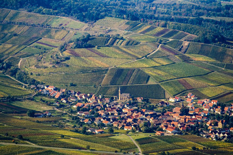 Vue aérienne de Village viticole du sud à Birkweiler dans le département Rhénanie-Palatinat, Allemagne
