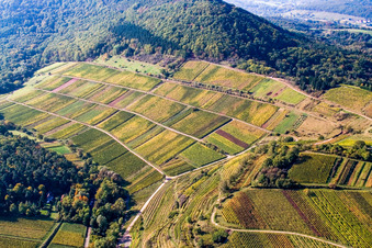Vue aérienne de Vignoble de Kastanienbusch « Keschdebusch » à Birkweiler dans le département Rhénanie-Palatinat, Allemagne