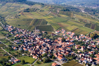 Vue aérienne de Vignobles à Birkweiler dans le département Rhénanie-Palatinat, Allemagne