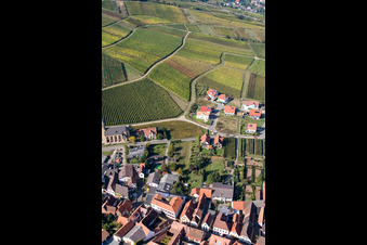 Vue aérienne de Vignobles et terres agricoles à Birkweiler dans le département Rhénanie-Palatinat, Allemagne