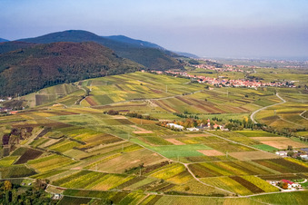 Vue aérienne de Geilweilerhof / Institut JKI à Siebeldingen dans le département Rhénanie-Palatinat, Allemagne