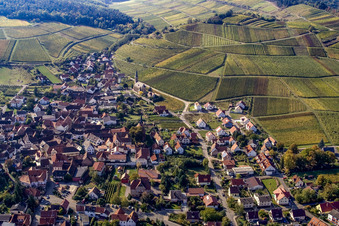 Photographie aérienne de Village viticole de l'est à Birkweiler dans le département Rhénanie-Palatinat, Allemagne