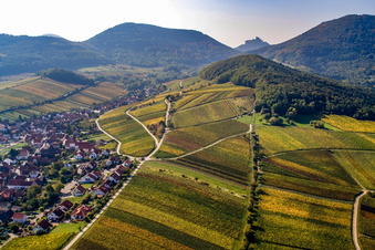 Vue aérienne de Vignoble de Mandelhain à Birkweiler dans le département Rhénanie-Palatinat, Allemagne