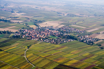 Vue aérienne de Du nord-ouest à le quartier Mörzheim in Landau in der Pfalz dans le département Rhénanie-Palatinat, Allemagne