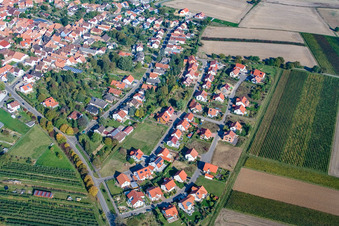 Enregistrement par drone de Dans le champ de pois à le quartier Mörzheim in Landau in der Pfalz dans le département Rhénanie-Palatinat, Allemagne