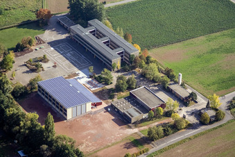 Vue aérienne de Terrains d'école et Klingbachschule à le quartier Ingenheim in Billigheim-Ingenheim dans le département Rhénanie-Palatinat, Allemagne