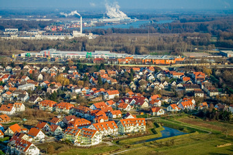 Vue aérienne de Rire de gorge à le quartier Maximiliansau in Wörth am Rhein dans le département Rhénanie-Palatinat, Allemagne