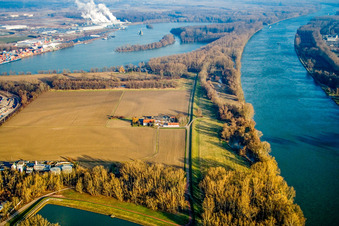 Domaine de Ludwigsau à le quartier Maximiliansau in Wörth am Rhein dans le département Rhénanie-Palatinat, Allemagne d'en haut