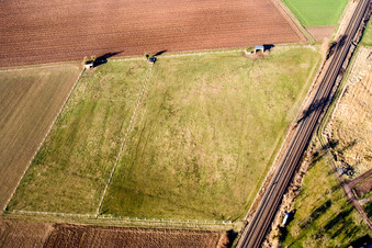 Vue aérienne de Enclos à chevaux à la gare à Steinweiler dans le département Rhénanie-Palatinat, Allemagne