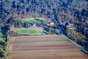 Vue aérienne de Terrains de sport à Steinweiler dans le département Rhénanie-Palatinat, Allemagne