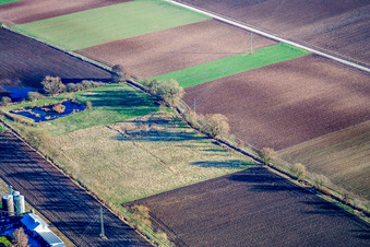 Vue aérienne de Champs à Steinweiler dans le département Rhénanie-Palatinat, Allemagne