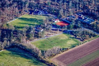Photographie aérienne de Terrains de sport à Steinweiler dans le département Rhénanie-Palatinat, Allemagne