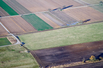 Vue aérienne de Biotope de Billigheimer Bruch à le quartier Mühlhofen in Billigheim-Ingenheim dans le département Rhénanie-Palatinat, Allemagne