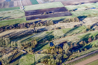 Vue aérienne de Biotope de Billigheimer Bruch à le quartier Mühlhofen in Billigheim-Ingenheim dans le département Rhénanie-Palatinat, Allemagne