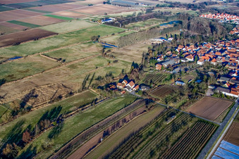Vue aérienne de Biotope de Billigheimer Bruch à Winden dans le département Rhénanie-Palatinat, Allemagne