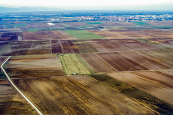 Vue aérienne de Site de lancement du treuil Nix wie Nuff eV à le quartier Mörlheim in Landau in der Pfalz dans le département Rhénanie-Palatinat, Allemagne
